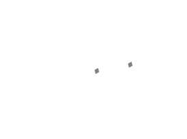 約束する人
