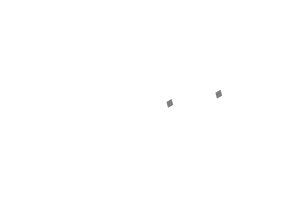 挑戦する人